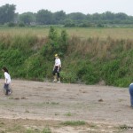 IMG_1099 IMG_1099