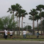 IMG_1114 IMG_1114