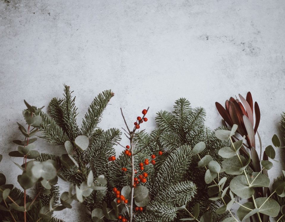 photo of green leafed plants